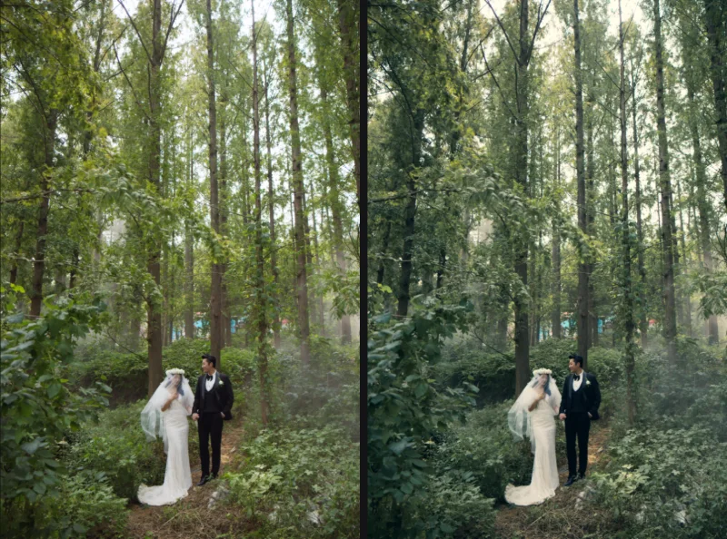 A wedding photo in a forest: on the left after Auto, on the right with color wheel, Gradient Map and hue curve layers for a deep green look while skin and dress stay bright