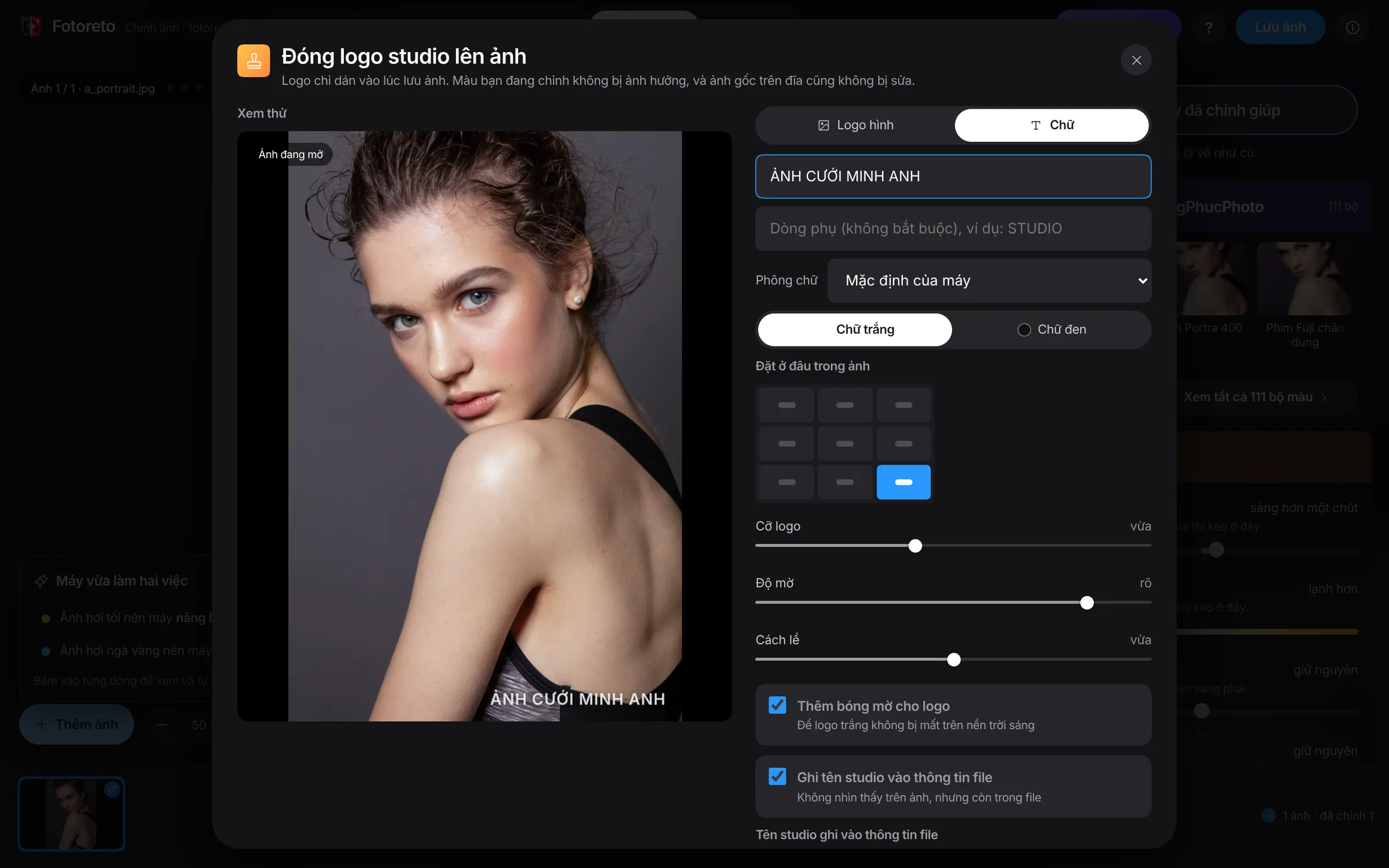 Hộp thoại Đóng logo studio lên ảnh với logo chữ và ảnh xem thử