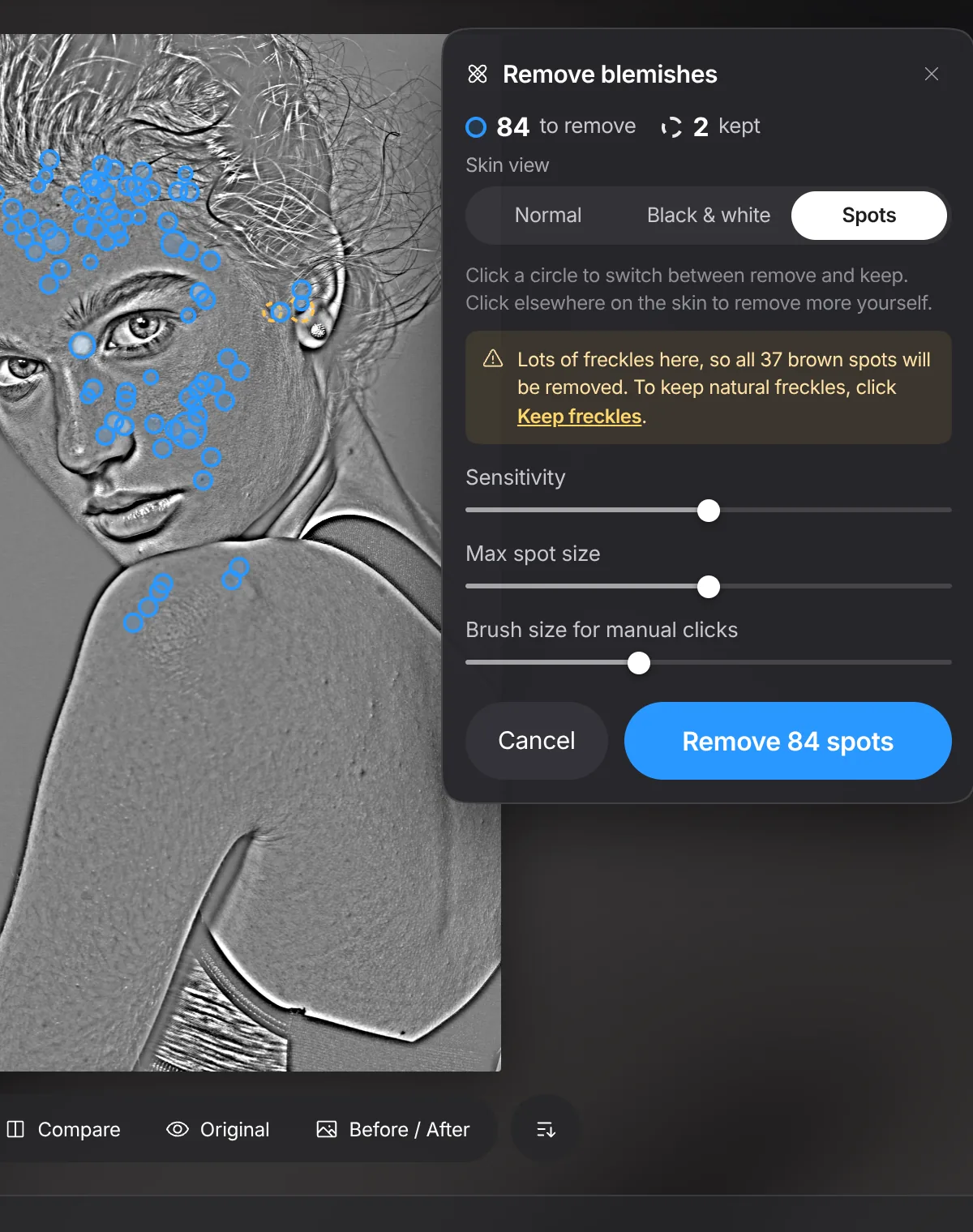 Skin check layer: blemishes show as dark dots on grey